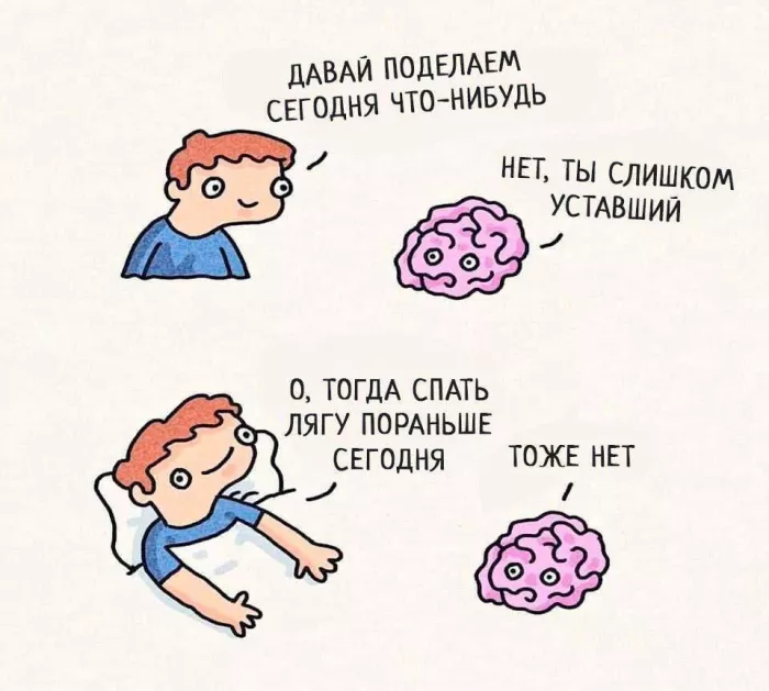 картинка 8d869e5f8e 00000