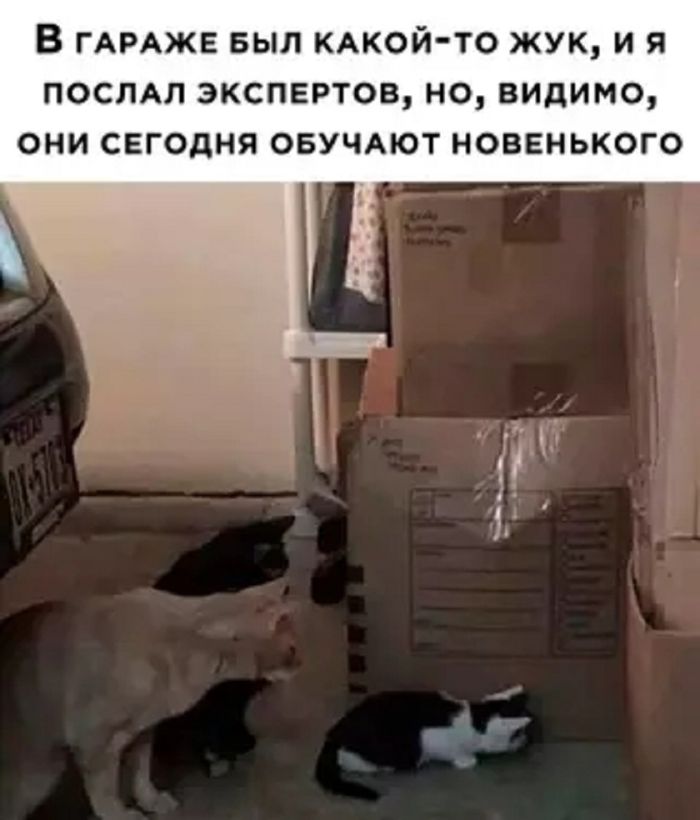 Взрыв позитива: лучшие мемы для ваших выходных