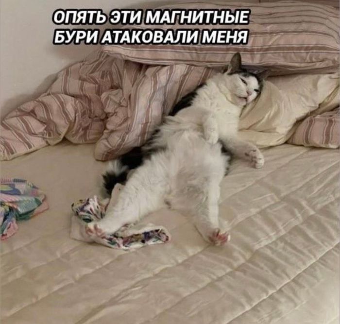 картинка 90c97d1dab vash lichnyj sbornik pozitiva memy kartinki i kommentarii 0