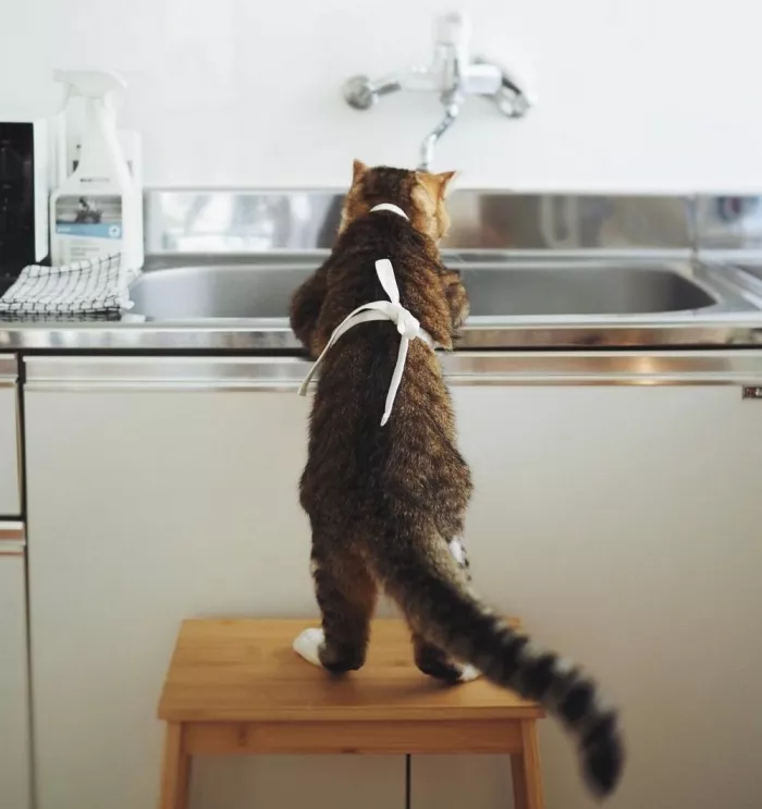 картинка 916da2c6c7 bolshoj sbornik svezhajshih prikolov na malenkuju pjatnicu 12