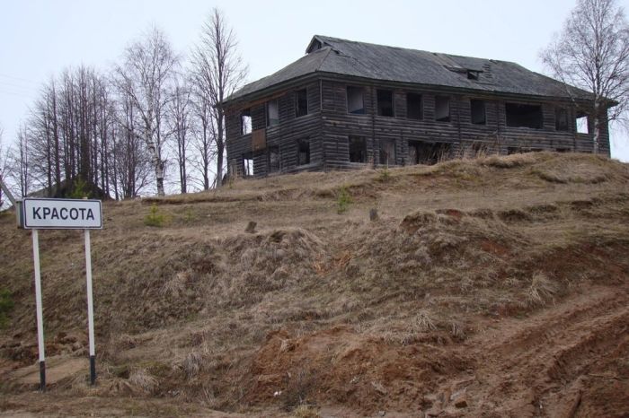 Взрыв позитива: лучшие мемы для ваших выходных