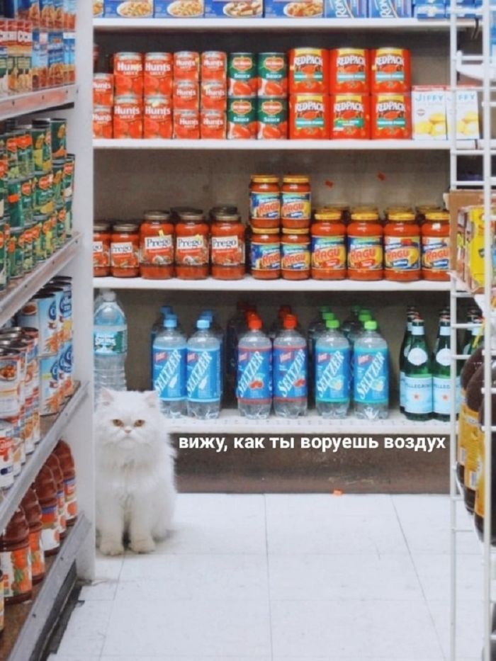 картинка 9473275f92 jekskljuziv otbornye prikoly v memah i kartinkah tolko dlja vas 4