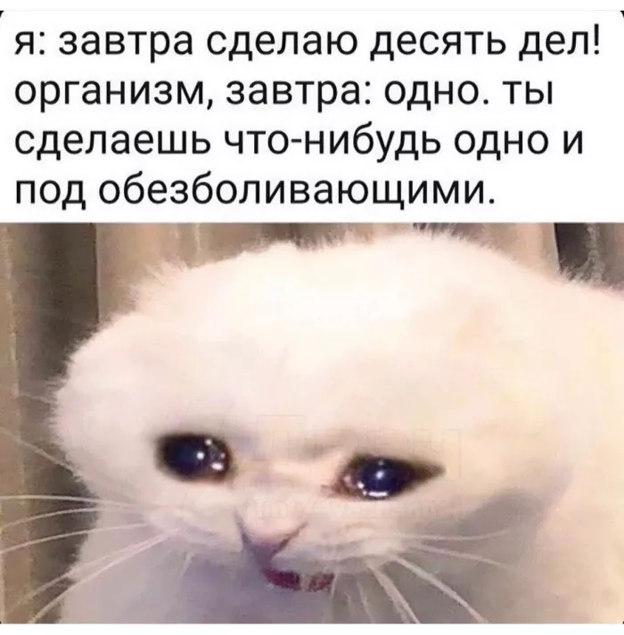 картинка 96a06c266c luchshij jumor iz socialnyh setej 10