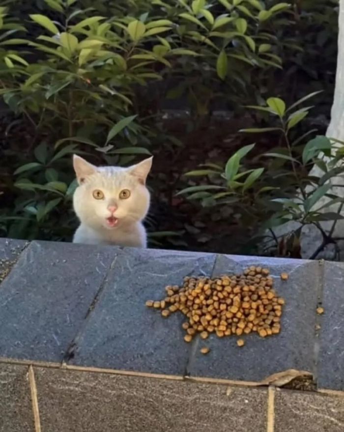 Новый сборник приколов к маленькой пятнице! 🤩 Неделя, горячие, близко, Выходные, недели, середины, приколы, шутки, самые, разгаре, Ловите, юмора, свежего, порцией, будни, разбавить, значит, держитесь