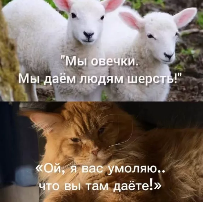 картинка 9ac1216fd0 0000