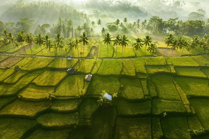 Большой сборник самых новых приколов в пятницу! Только, свежие, настроением, выходные, пропусти, здесь, собраны, самые, смешные, заряжайся, шутки, чтобы, веселее, Приятного, просмотра, отличного, хорошим, друзьями, сегодня, которые