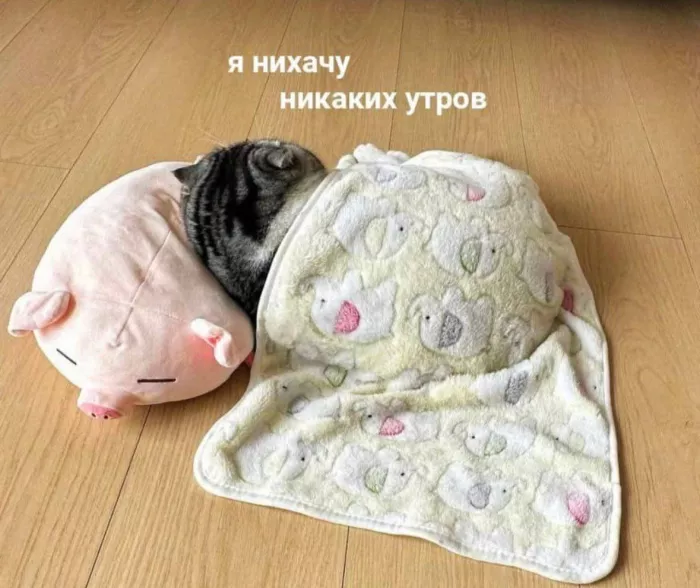 картинка a42ce359c5 bolshoj sbornik svezhajshih prikolov na malenkuju pjatnicu 14