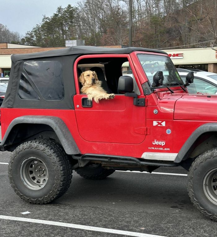 картинка a60c68f002 lovite pozitivchik podborka svezhih shutok i memov dlja vashej malenkoj pjatnicy 8