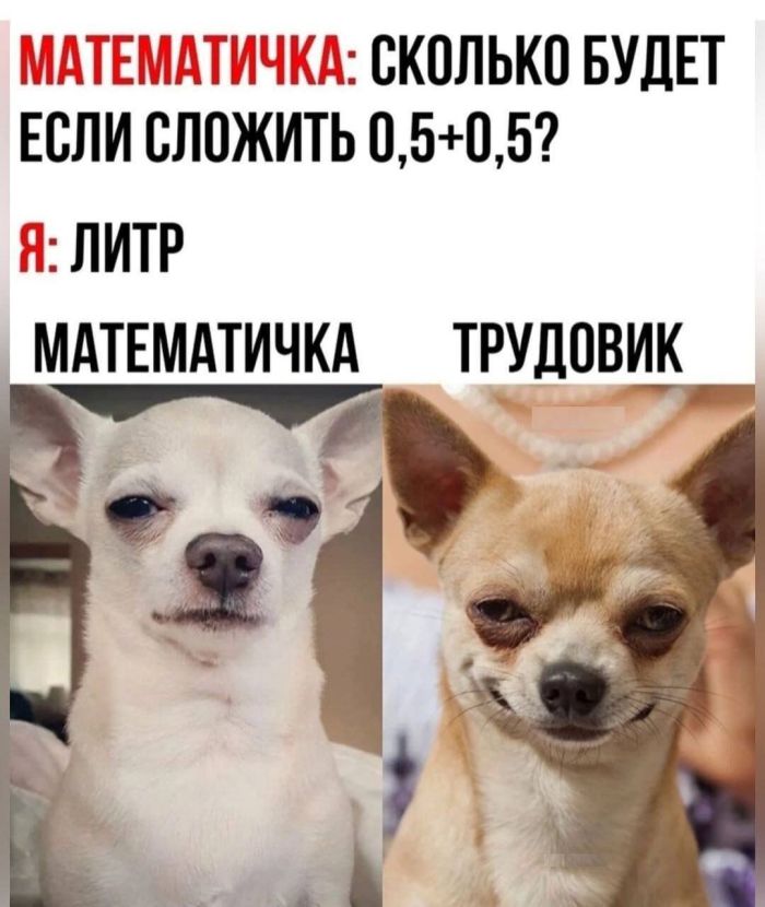 картинка a65df398e9 vash lichnyj sbornik pozitiva memy kartinki i kommentarii 10