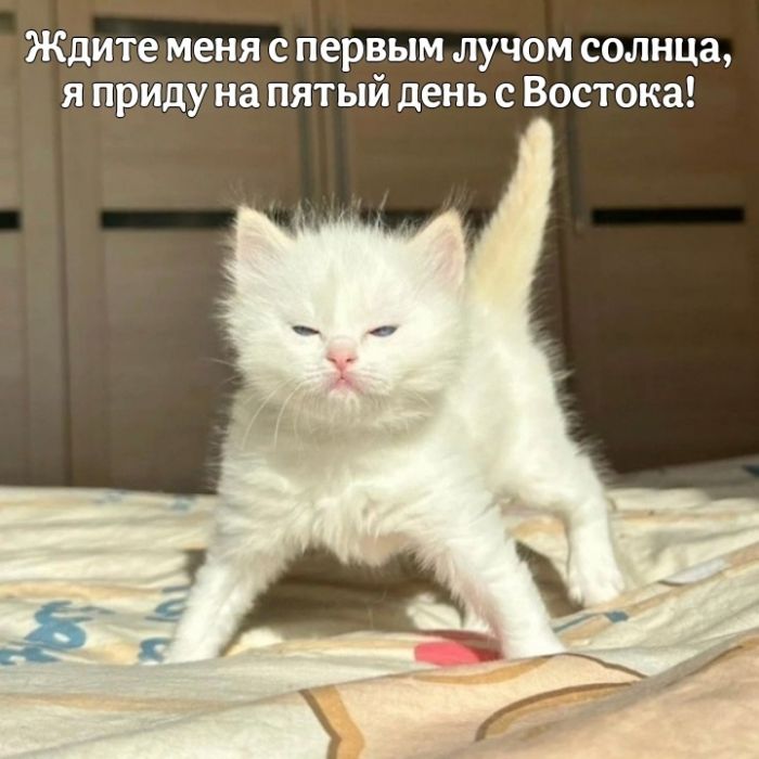 картинка a9b309f89c 0000000000000000