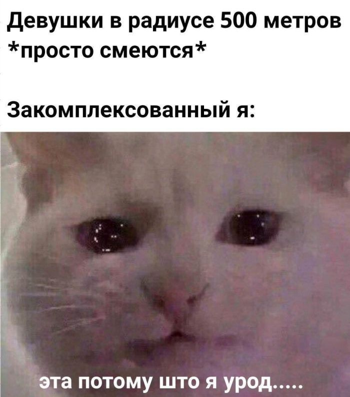 картинка ad93ffa5cd zabudte o grusti my sobrali dlja vas otbornuju porciju jumora prjamikom iz socsetej 5