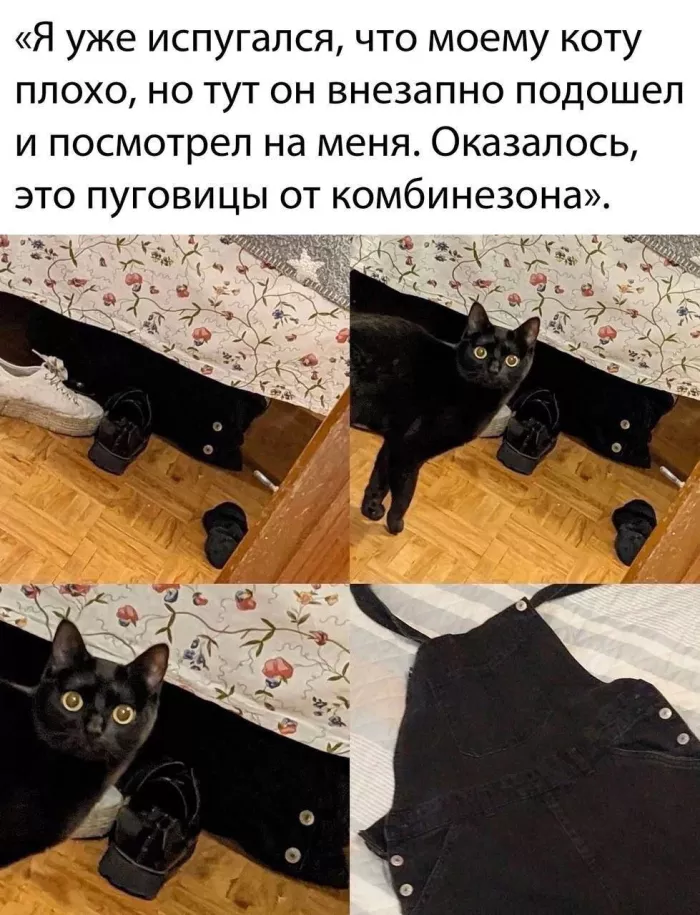 картинка afca5842c8 00