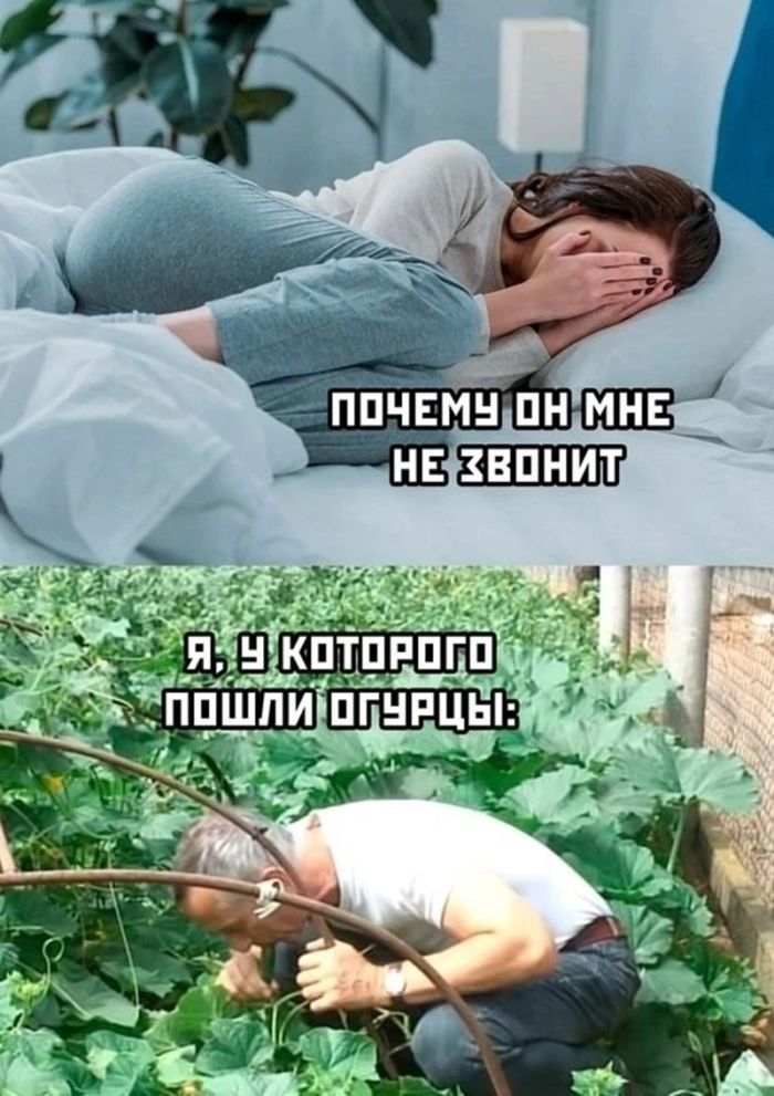 картинка b230c70b53 chernyj jumor dlja teh kto ne boitsja zagljanut za gran 20