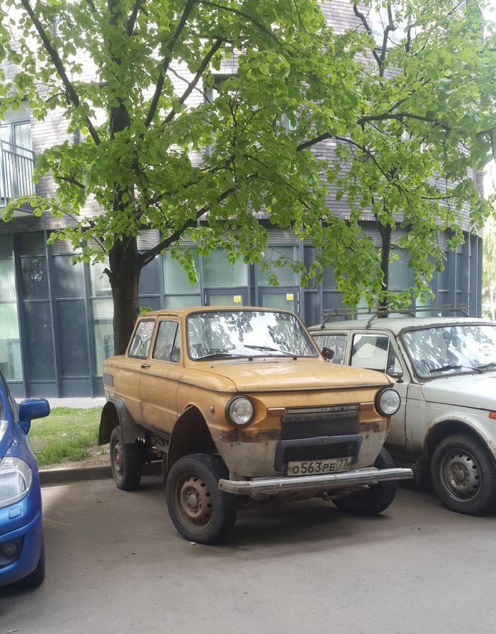 картинка b33c6291f9 novyj sbornik pozitiva dlja idealnogo zavershenija rabochej nedeli 15