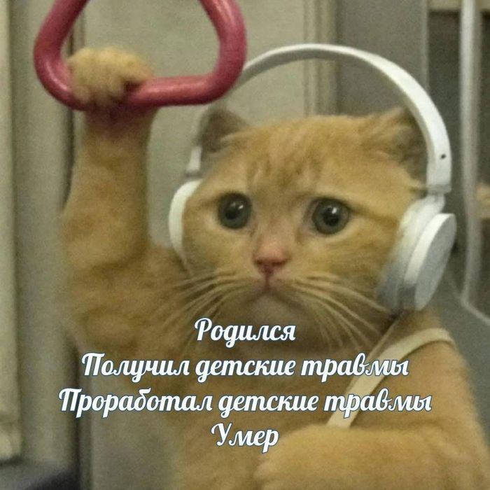 картинка b3a992c0ab 0000000000000000