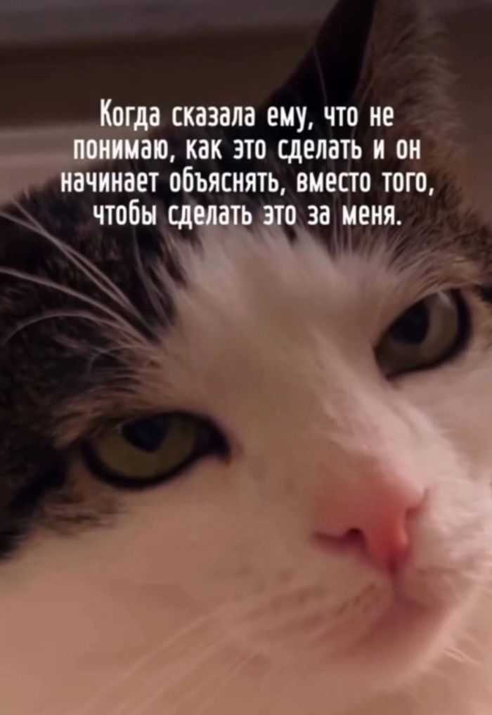 картинка b55cdfac45 00000000000000000000