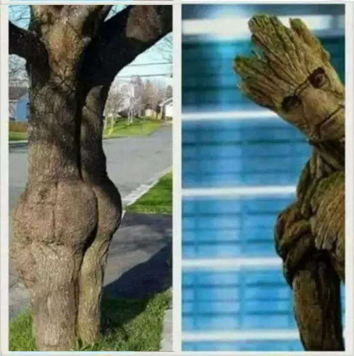 Большой сборник самых новых приколов в пятницу!