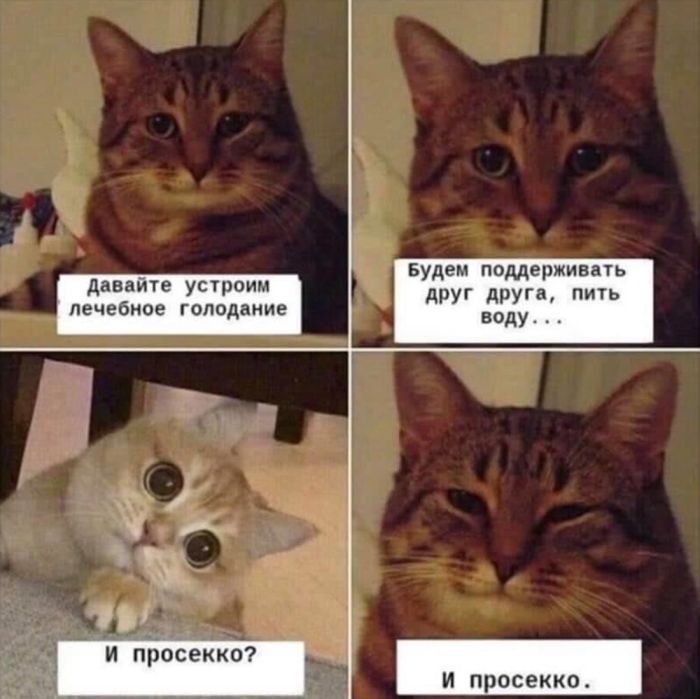 Взрыв позитива: лучшие мемы для ваших выходных