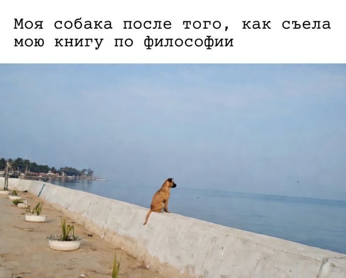 картинка bbcaf89e57 1773552973