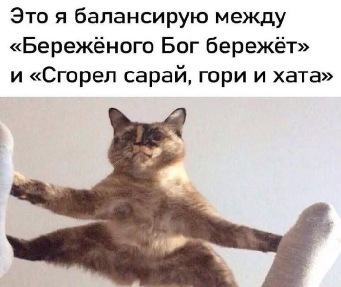 картинка bbe2bb9ed4 zagljanite k nam za porciej horoshego nastroenija 1