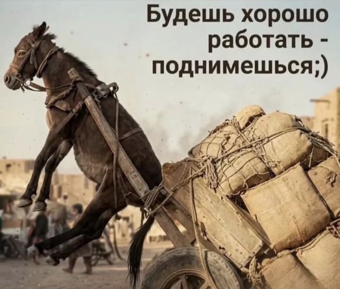 картинка bd50283cb4 granicy dozvolennogo my ih ne znaem 19