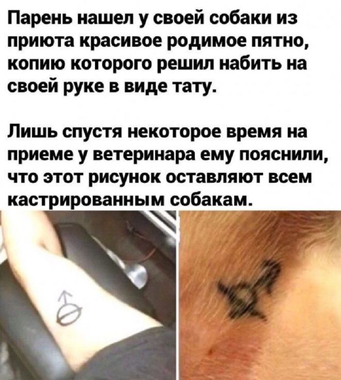 Взрыв позитива: лучшие мемы для ваших выходных