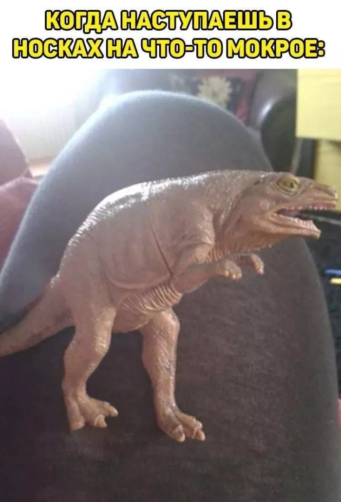 картинка c3cf61d68e zagljanite k nam za porciej horoshego nastroenija 6