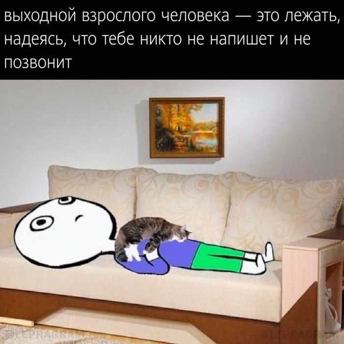 картинка c6bfd1ecf9 000