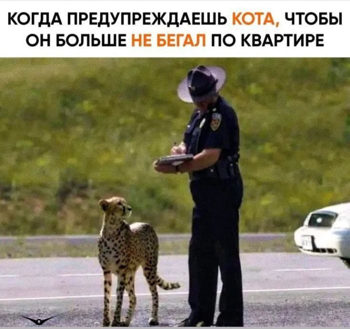 картинка c6fe005efe 000000000000