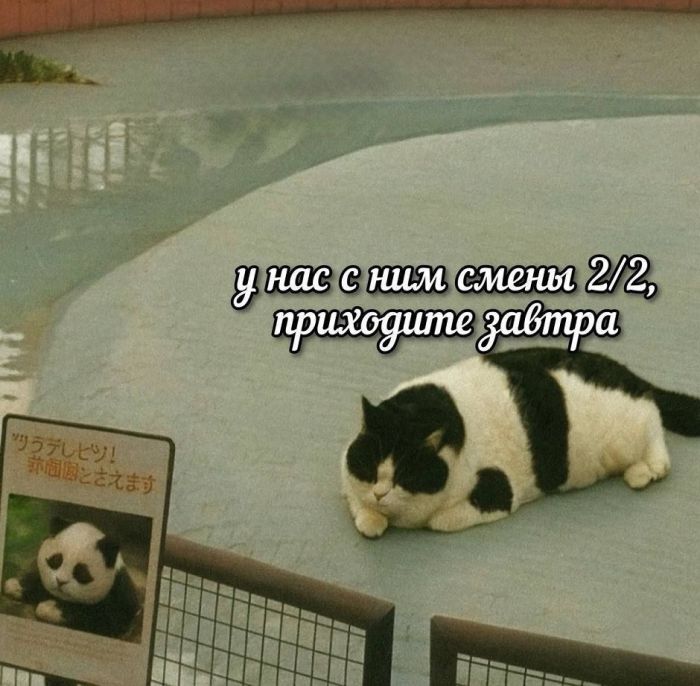 картинка ca99128c88 20875349