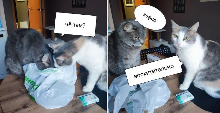 картинка cd4591bcfe 00000000