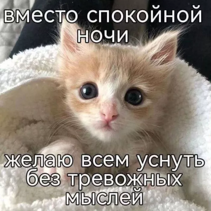 картинка cfed7d1435 0000000000