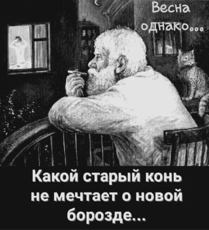 картинка d06b8d0693 zagljanite k nam za porciej horoshego nastroenija 13