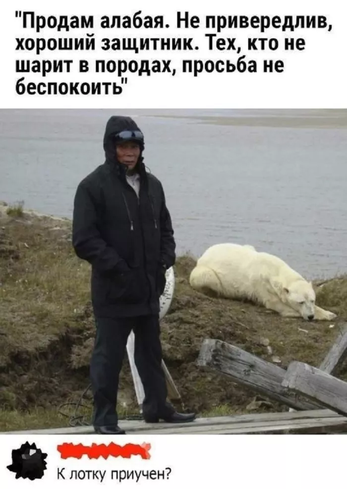 картинка d0c70bca8e dlja teh kto v teme novyj sbornik vzroslogo jumora 20