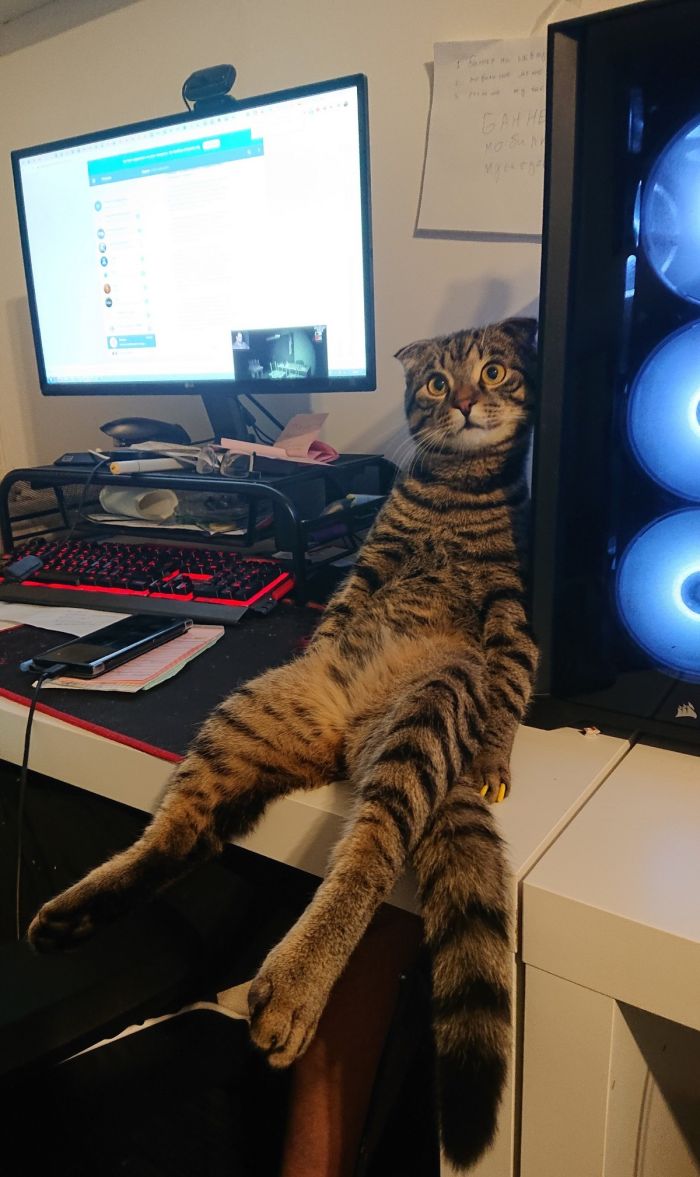 картинка d2868bf15a pjatnica ulybaemsja i mashem 6