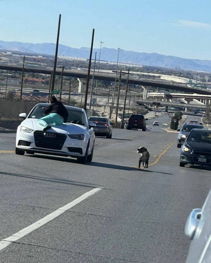 Новый сборник приколов к маленькой пятнице! 🤩 Неделя, горячие, близко, Выходные, недели, середины, приколы, шутки, самые, разгаре, Ловите, юмора, свежего, порцией, будни, разбавить, значит, держитесь