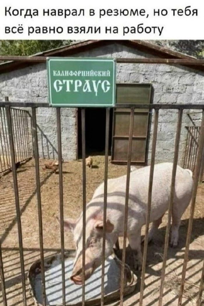 картинка d652898507 chernyj jumor dlja teh kto ne boitsja zagljanut za gran 24