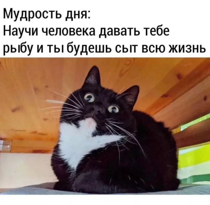 Готовьтесь к взрыву смеха! 💥 Новый сборник приколов на выходные уже здесь!