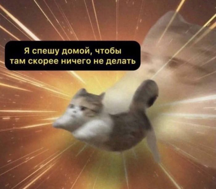 Устал от скуки? Хочется улыбнуться? Тогда тебе сюда! собрали, грусть, делись, смейся, Листай, время, любое, работают, шутки, хандру, Забудь, огромную, настроение, поднимут, точно, которые, мемов, уморительных, свежих, самых