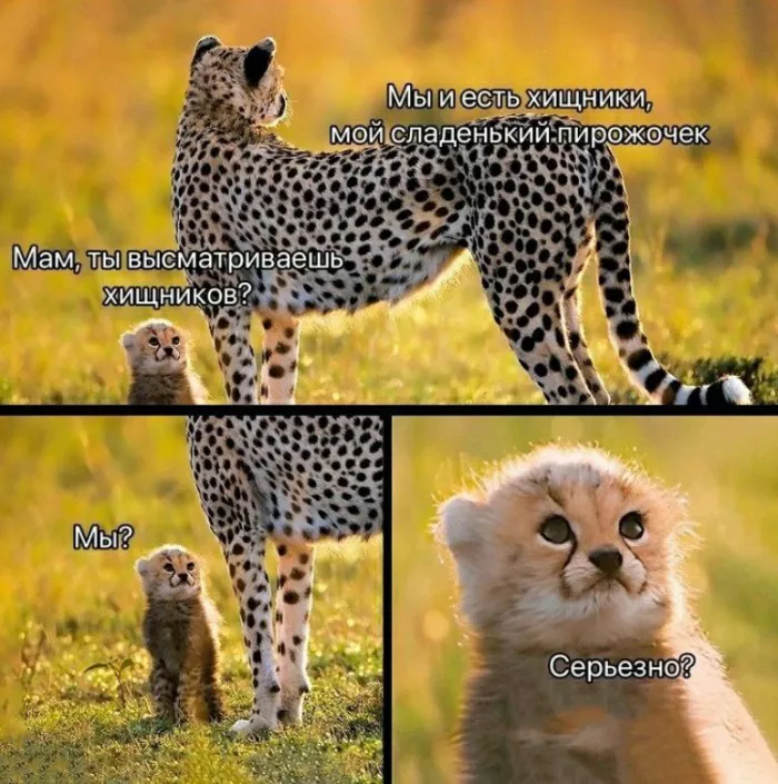 картинка e2247cd6fc 0000000000