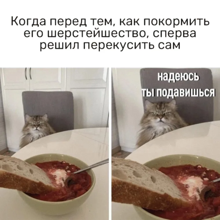 Взрыв позитива: лучшие мемы для ваших выходных