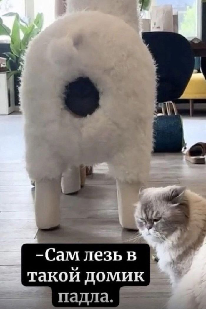 картинка e463d841c0 ne kazhdyj pojmet no kazhdyj ocenit 8