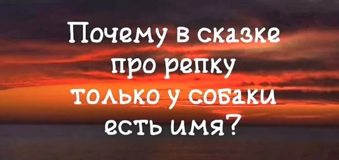 картинка e7514a519f vnimanie vzroslye gotovy k porcii otbornogo chernogo jumora 2