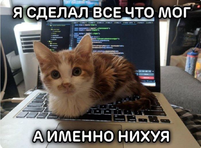 картинка e88debd05c 00000000000000