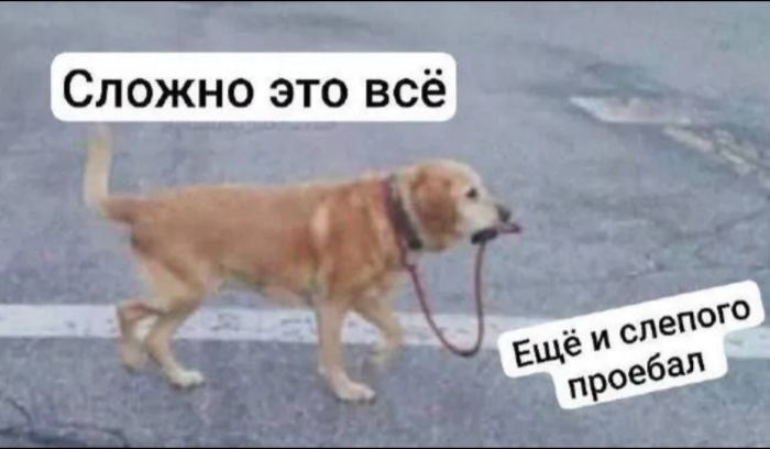 картинка e8c1ef6b70 000000