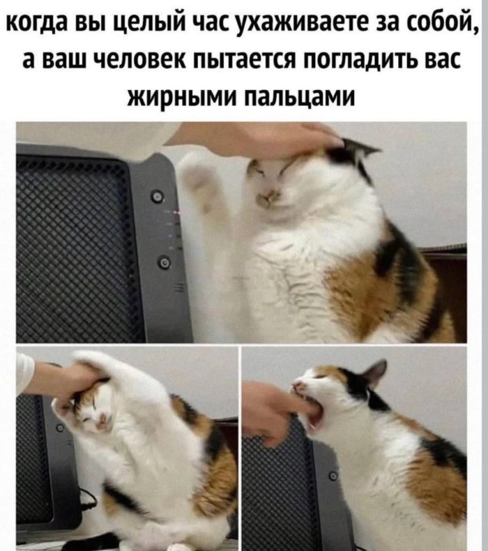 картинка ebda27c375 0000