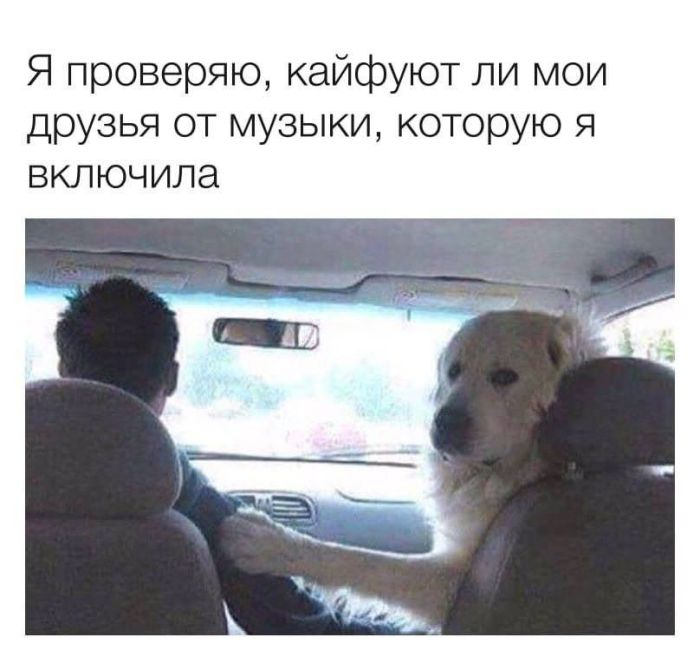 Новый сборник приколов к маленькой пятнице! 🤩 Неделя, горячие, близко, Выходные, недели, середины, приколы, шутки, самые, разгаре, Ловите, юмора, свежего, порцией, будни, разбавить, значит, держитесь