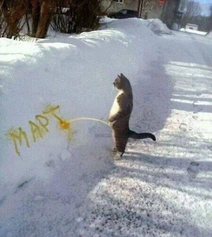 ed8a7898ba_chernyj-jumor-dlja-vzroslyh-s