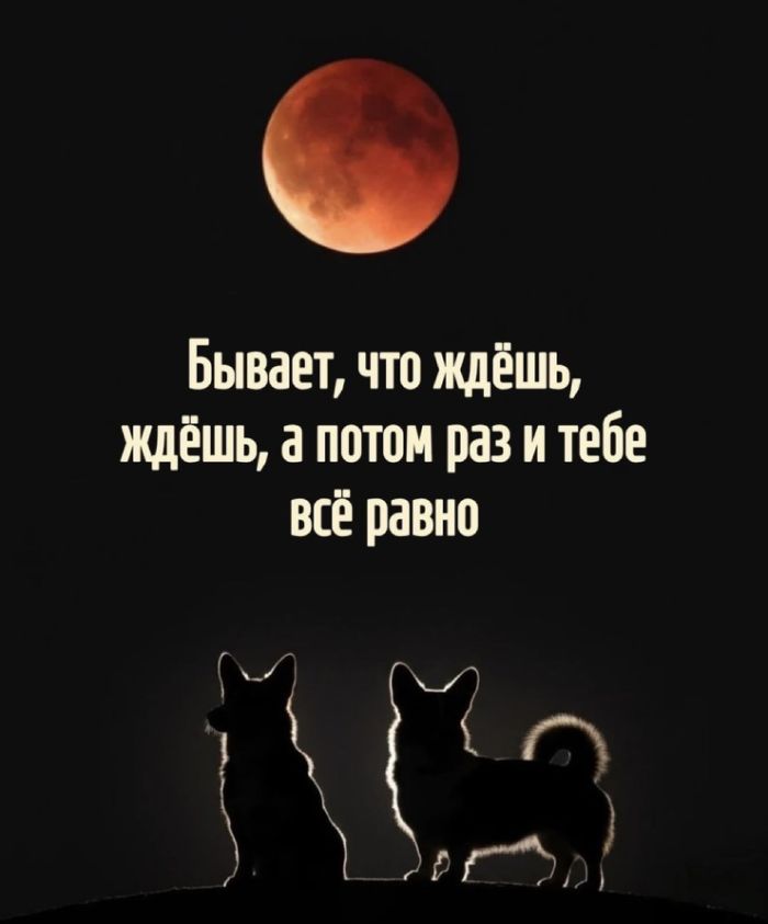 картинка ee5f0132fb ne kazhdyj pojmet no kazhdyj ocenit 25