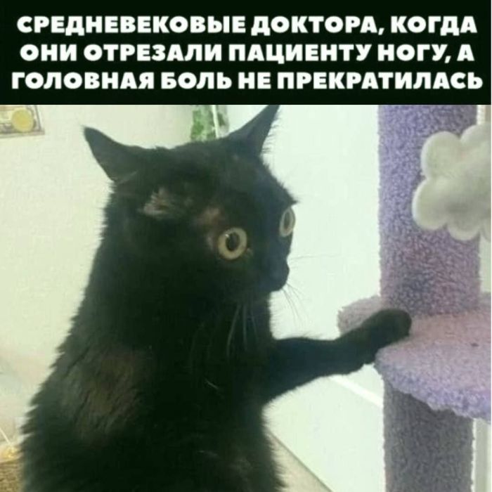 картинка f105128355 tolko dlja vzroslyh novyj sbornik memov s chernym jumorom 23